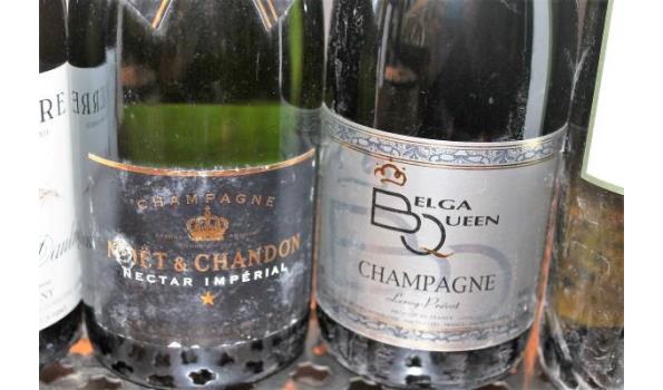 9 div flessen wijn wo Cabernet Sauvignon, Sancerre en champagne